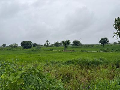 Project Image of 1119 Sq.ft Residential Plot / Land for sale in Panvel for Rs. 6717000