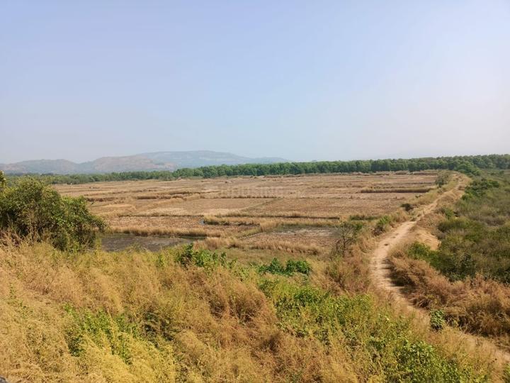 Gallery Cover Pic of Towncity Plots in Pirkon