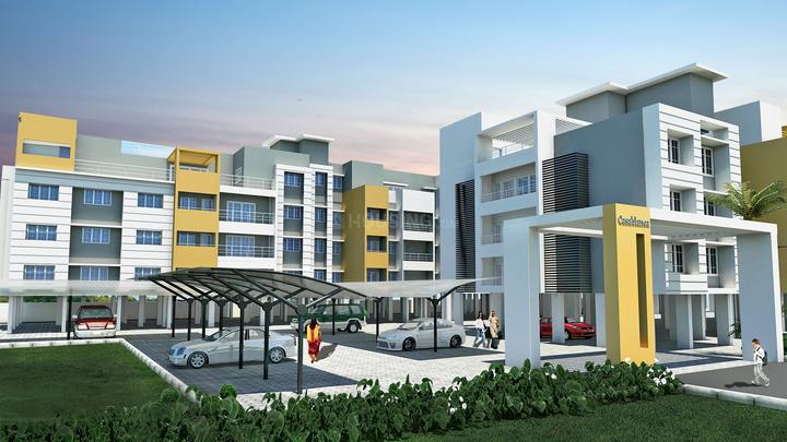 Triumph Casablanca More Images 1