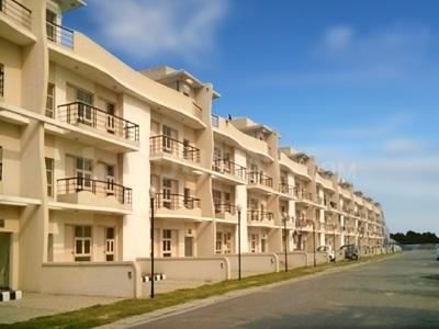 TDI My Floors 1 More Images 1