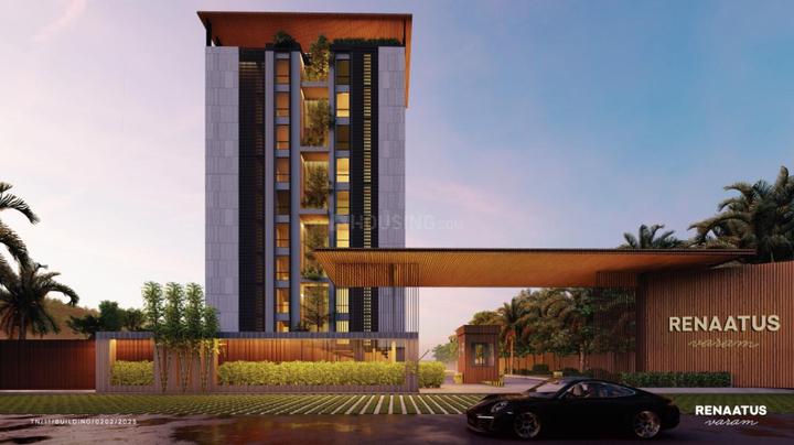 Gallery Cover Pic of Renaatus Varam