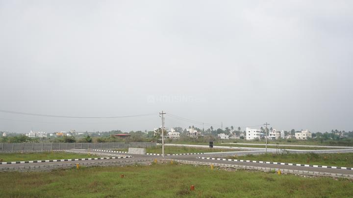 Gallery Cover Pic of Sameera Iris