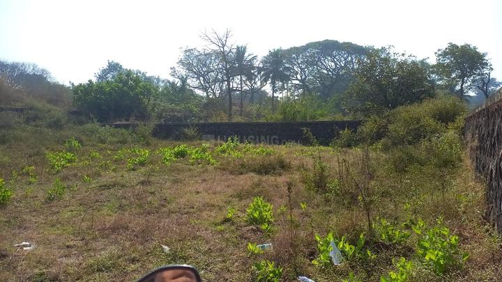 Gallery Cover Pic of Towncity Plots In Pen