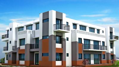 Mohidin Gem Project Images