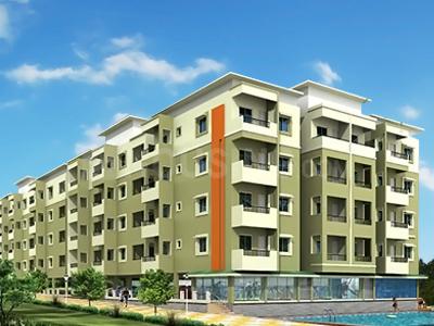 Gallery Cover Pic of MVS Shine