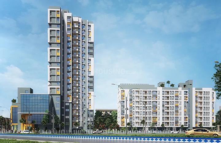 Gallery Cover Pic of Tapa Lux Insignia