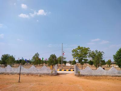 Residential Plot