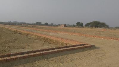 Gallery Cover Pic of Earth Heritage