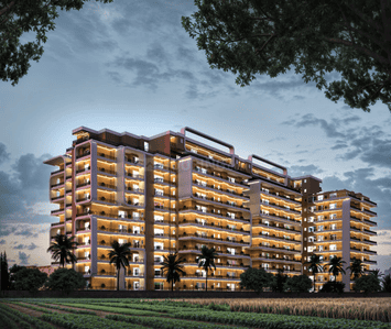 Gallery Cover Pic of The Palash Homes