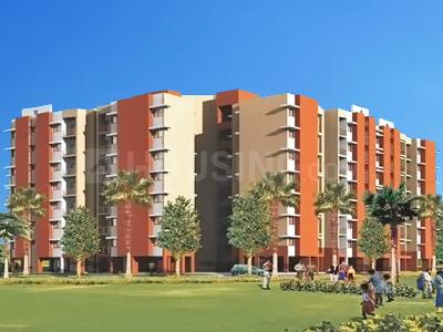 Fire Daffodil Highs More Images 1