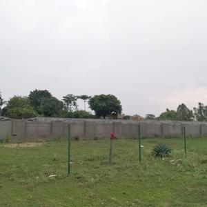 Semra City Elevation 1
