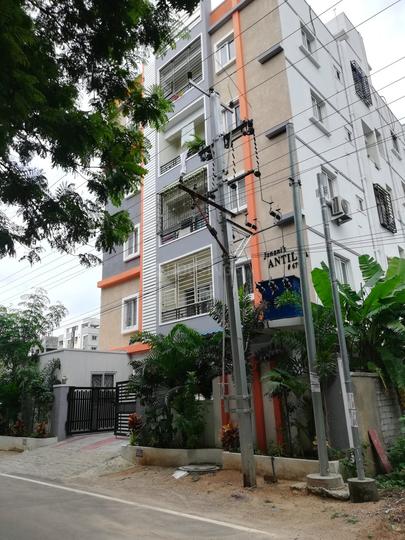 Gallery Cover Pic of Antelia