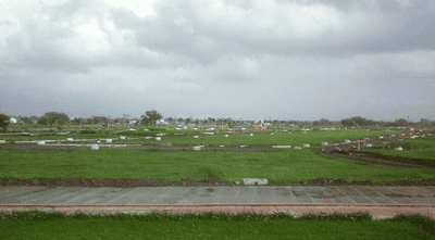 Residential Plot