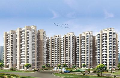 Gallery Cover Image of 1425 Sq.ft 2.5 BHK Apartment / Flat for rent in Bestech Park View Delight, Sector 7 for Rs. 15000
