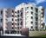 Gallery Cover Pic of Palacia Habitat