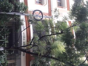 Gallery Cover Pic of Sree Ramachandra Apartments