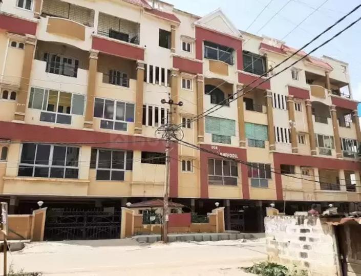 DSR Daffodils More Images 1