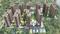 Gallery Cover Pic of Kalyani Living Tree