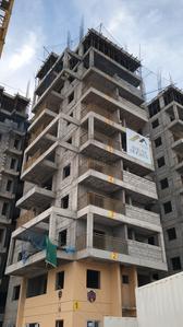 Gallery Cover Pic of My Ambience Avigna Heights