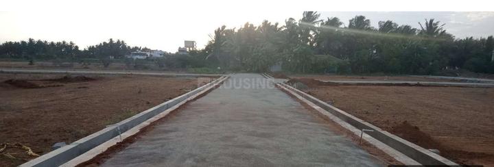 Gallery Cover Pic of NMK Avenue