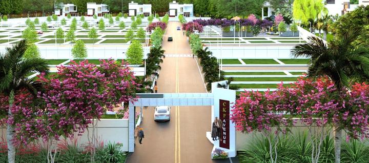 Gallery Cover Pic of CKP Avenue