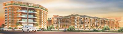 Gallery Cover Pic of Palm Bellagio