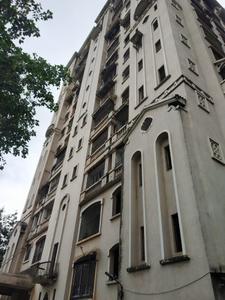 Dosti Olive Project Images