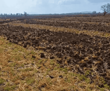 Poonyabhumi Plot In Pen Raigad Project Images