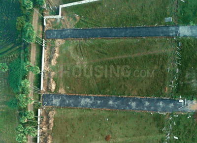 Gallery Cover Pic of Ambigai Narayanan Nagar East