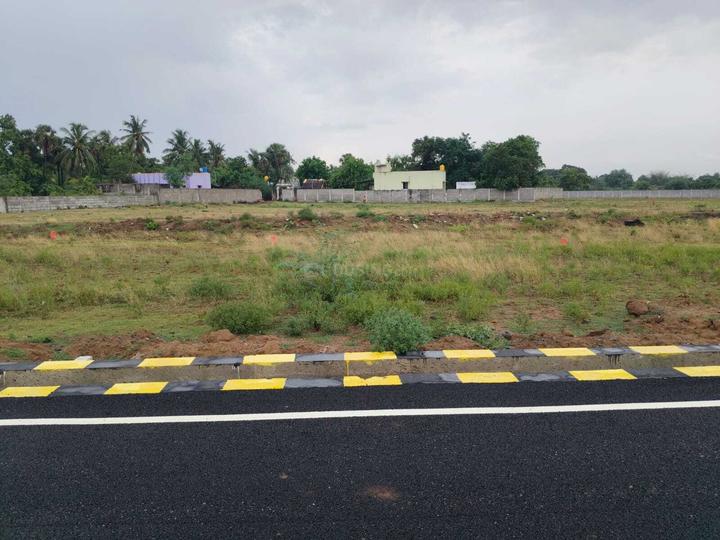 Gallery Cover Pic of Dream MS Nagar