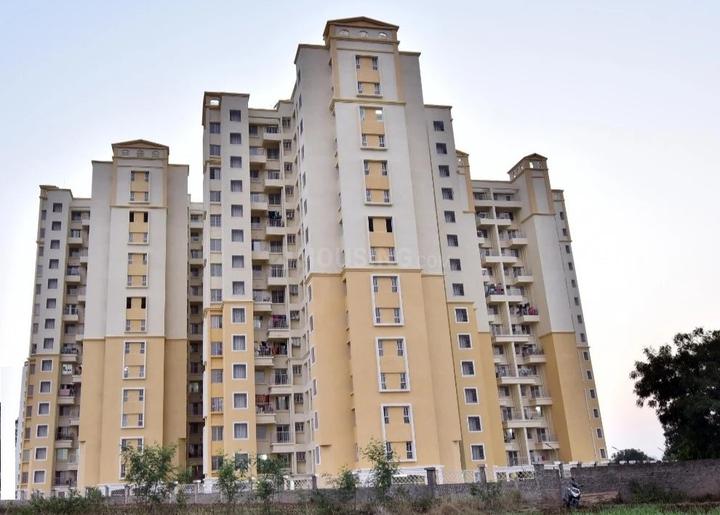 Gallery Cover Pic of DMK Stella C2 D1 And D2