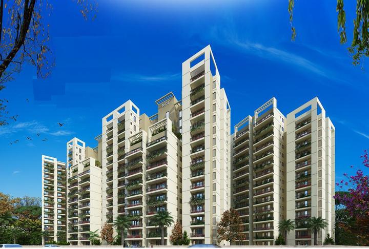 Gallery Cover Pic of ROF Amaltas