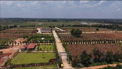 Neralu Farms Korlaparthi Project Images