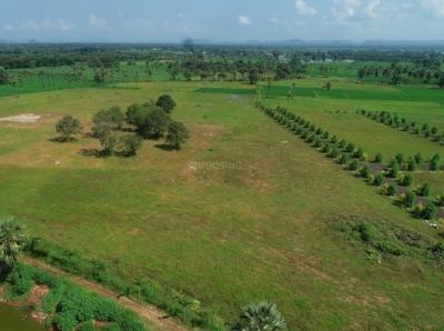 Project Image of 1800 Sq.ft Residential Plot / Land for sale in Rajanagram for Rs. 1800000