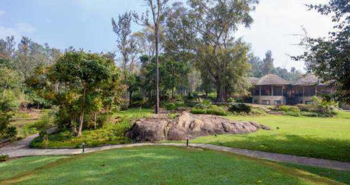 Elephantine Tales Main Image 1