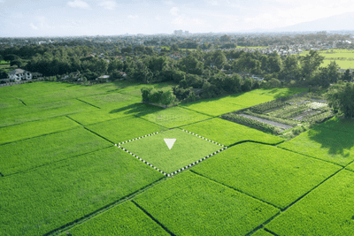 Residential Lands for Sale in Empire Gardenia