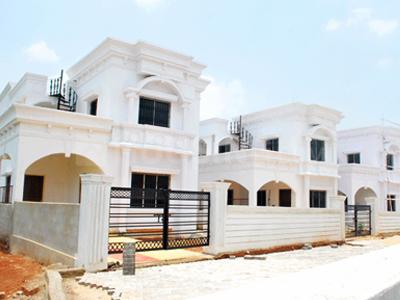Arya 12th Milestone Project Images