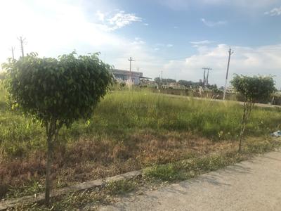 Project Image of 1375 Sq.ft Residential Plot / Land for sale in Ghati River Valley for Rs. 15200000