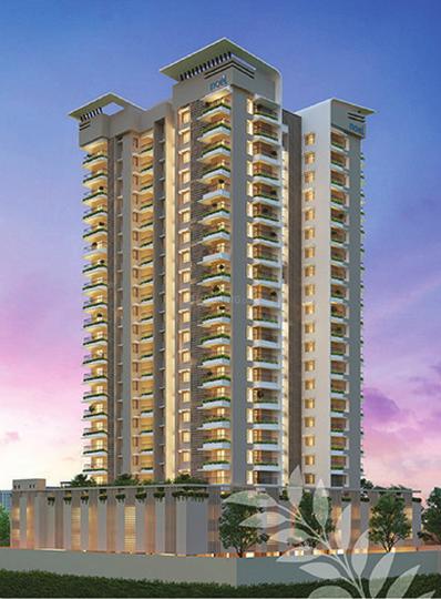 Noel Peace Main Image 1