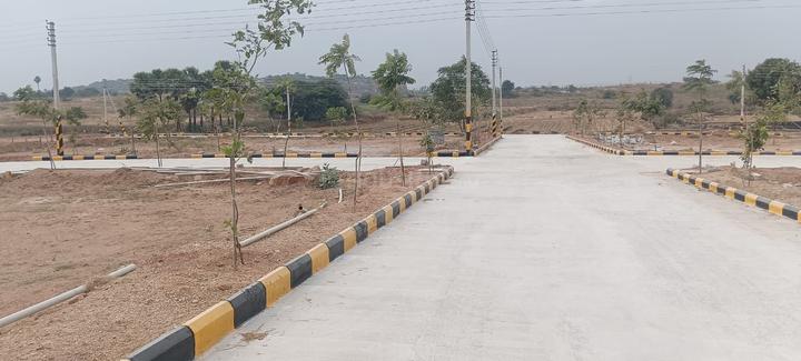 Gallery Cover Pic of Indo Orr East Organica