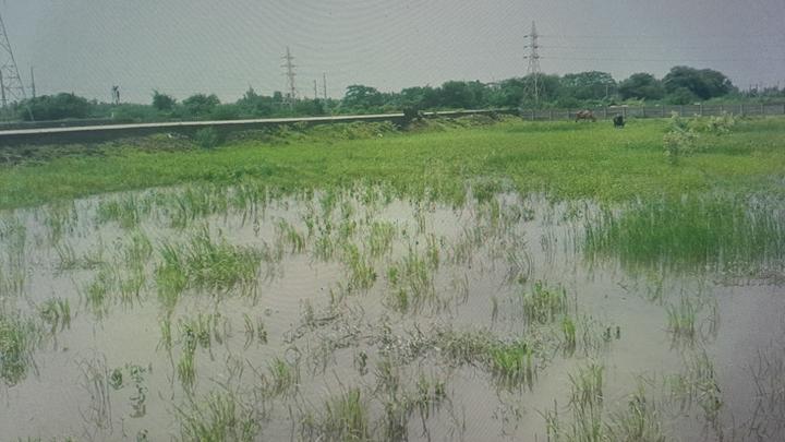 Gallery Cover Pic of Silent Embro Park