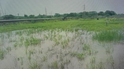 Residential Lands for Sale in Silent Embro Park