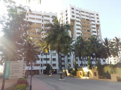 Gallery Cover Pic of Golden Palms
