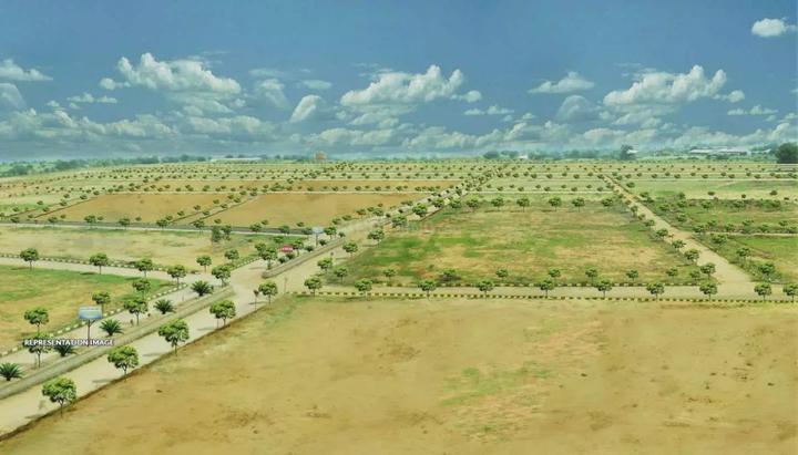 Gallery Cover Pic of DLF Plots