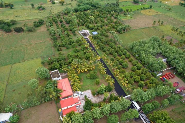 Gallery Cover Pic of Sai Sakthi Farms