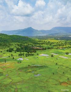 Kalpataru Aria Phase C Elevation 1