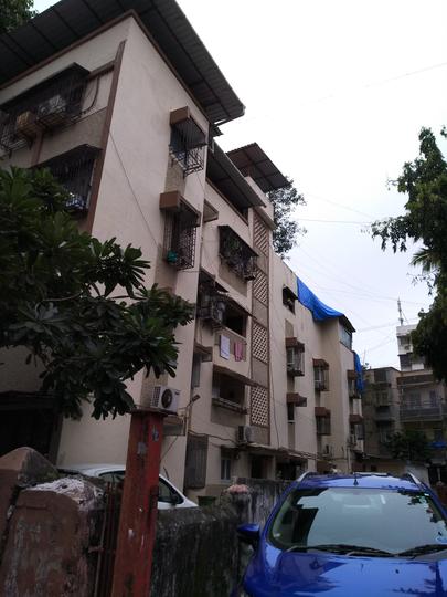 Exotica Society More Images 1