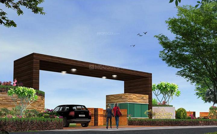 Gallery Cover Pic of Yesh Golden Blossom