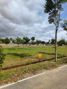 Canterburry Meadows Phase 1 Elevation 2