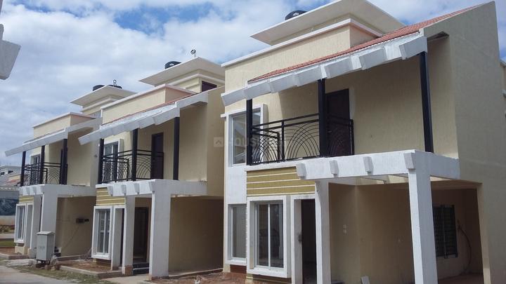 Gallery Cover Pic of Aratt Amora